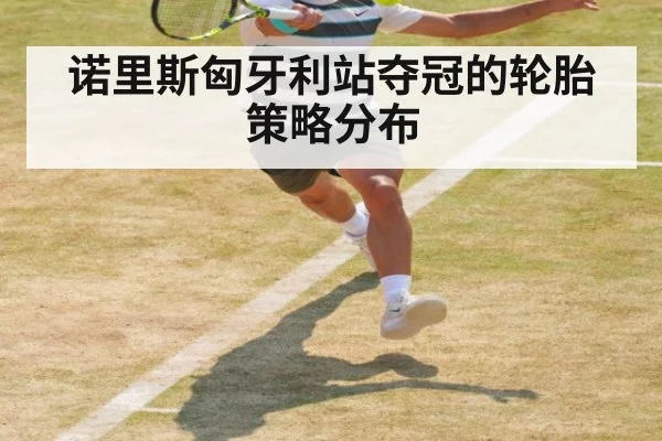 诺里斯匈牙利站夺冠的轮胎策略分布