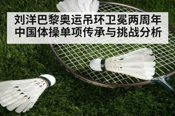 刘洋巴黎奥运吊环卫冕两周年 中国体操单项传承与挑战分析